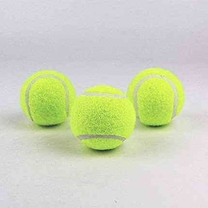 Tennis Balls with Storage Bag, Thick-Walled Durable Balls for Dogs, Tennis & Cricket