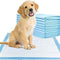 Heavy Duty Puppy Training Pads 60x45cm – Leak-Proof & Anti-Slip