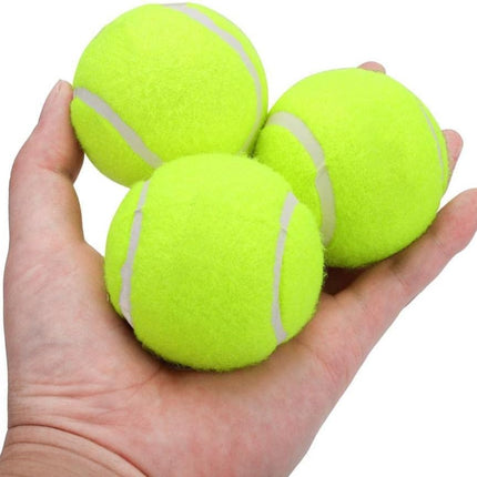 Tennis Balls with Storage Bag, Thick-Walled Durable Balls for Dogs, Tennis & Cricket