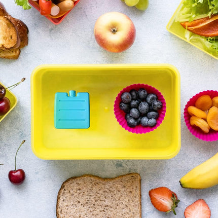 Mini Ice Packs for Lunch Boxes – 8cm Multicolour Freezer Blocks