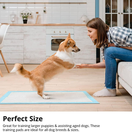 Heavy Duty Puppy Training Pads 60x45cm – Leak-Proof & Anti-Slip