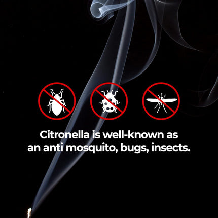 Citronella Incense Sticks 50-Pack & Wooden Holder Set
