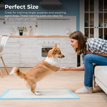 Heavy Duty Puppy Training Pads 60x60cm - Leak-Proof & Anti-Slip