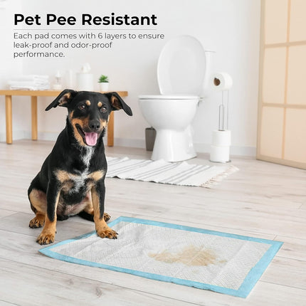 Heavy Duty Puppy Training Pads 56x56cm - Leak-Proof & Anti-Slip