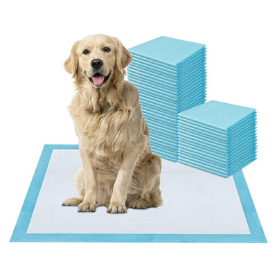 Large Puppy Pads 60x60cm